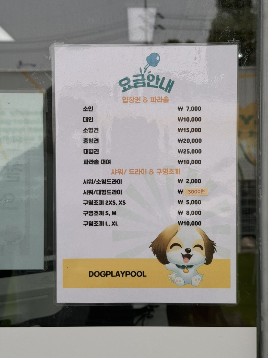 수원 도그플레이풀: 신상 강아지 수영장 이용 후기