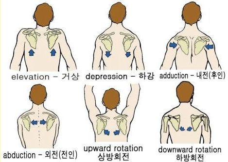 김예 이미지