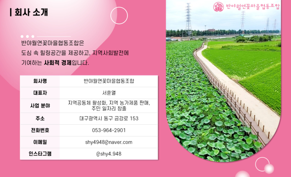 반야월 연꽃마을 협동조합 이미지