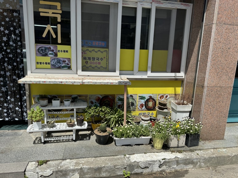 안심국시 이미지