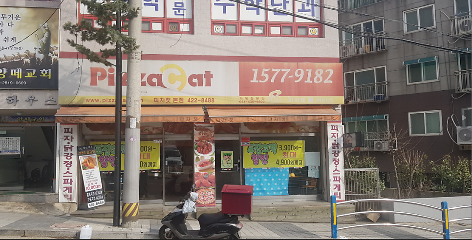 피자캣 이미지