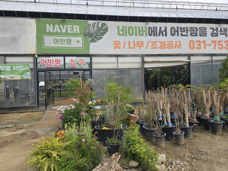 염소이야기 이미지