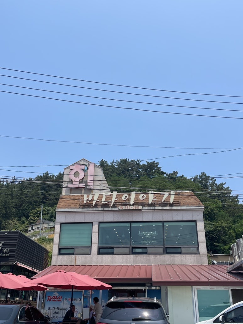 바다이야기회식당 이미지