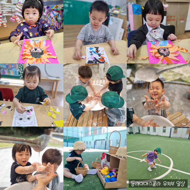 동래이야스콜라 이미지