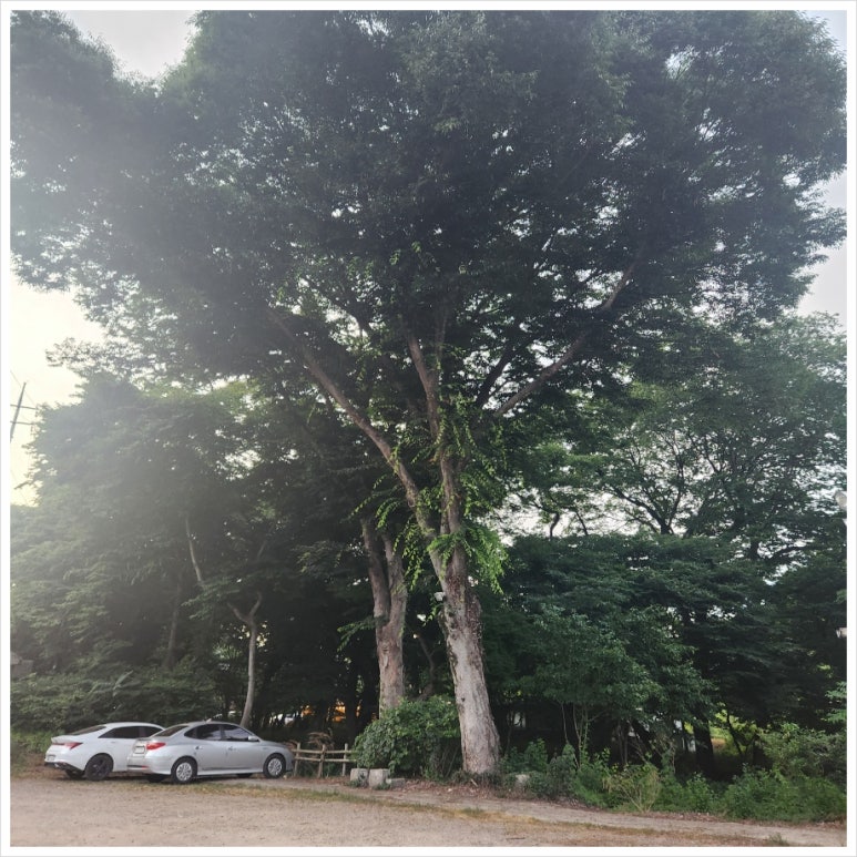 불타는솥뚜껑 이미지