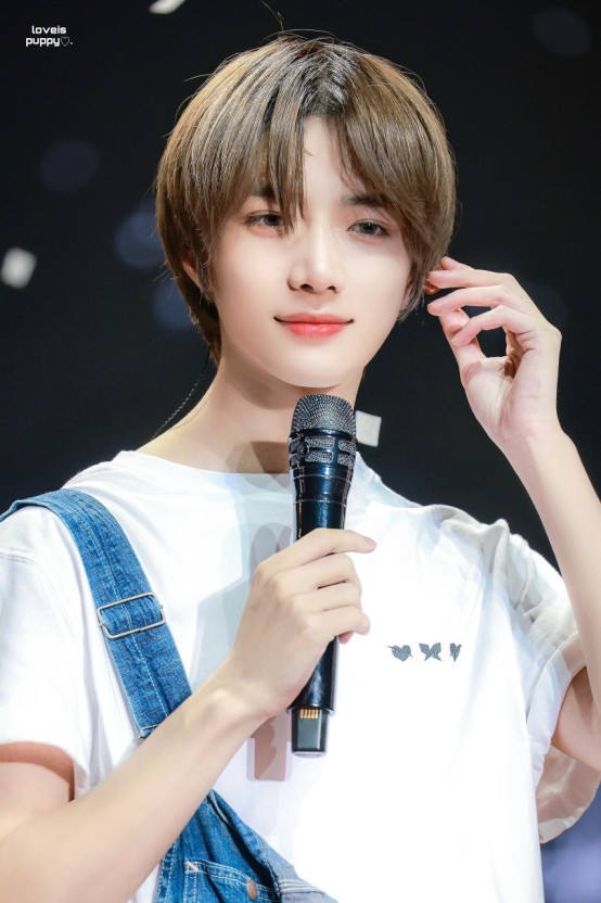곰도리 이미지