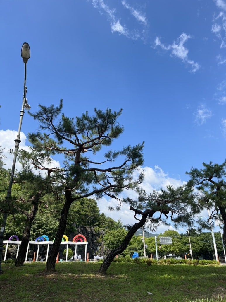 리틀파라솔 이미지