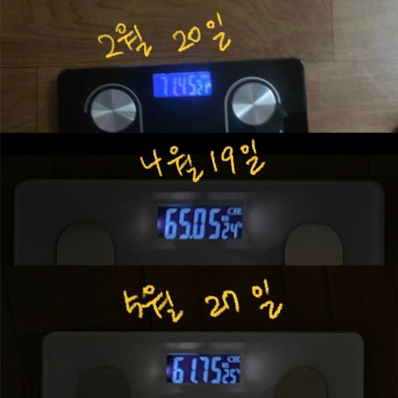비바짐 이미지