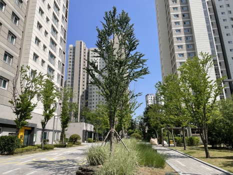 세이브트리엑스퍼트 이미지