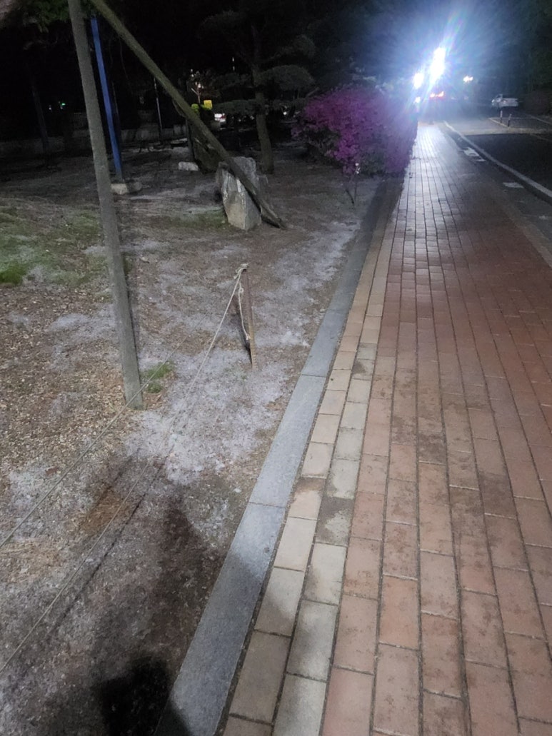 은솔분식 이미지