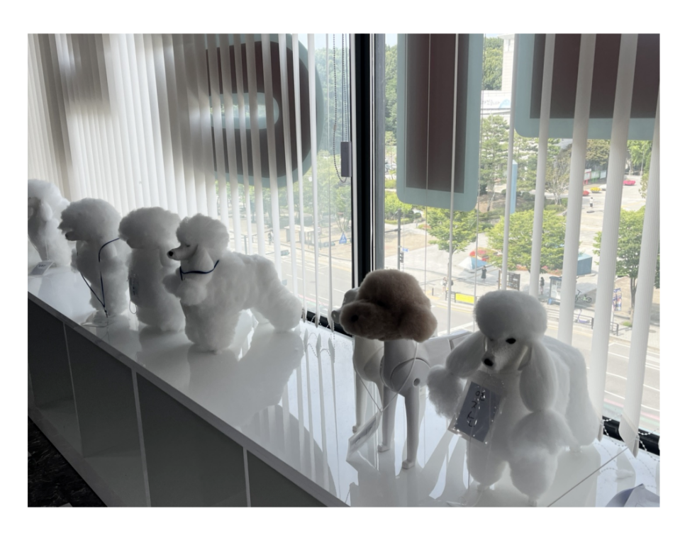 지니펫애견미용학원 이미지