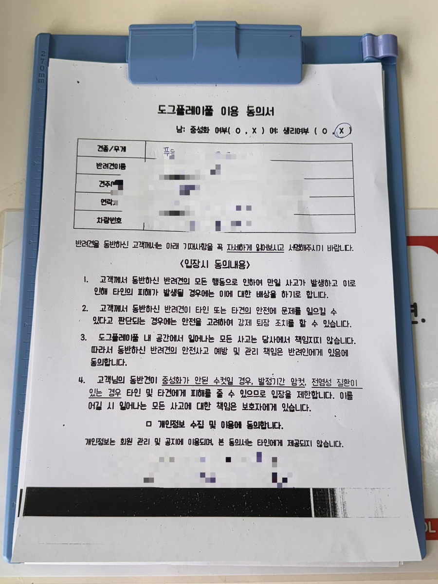 수원 도그플레이풀: 신상 강아지 수영장 이용 후기 — 사진 6