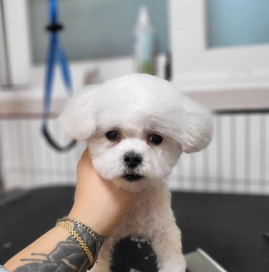 백천미용실 이미지