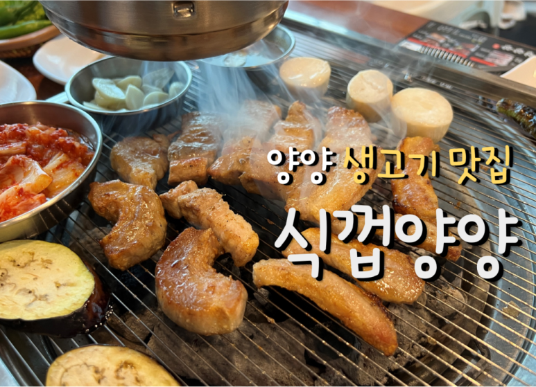 식껍양양 이미지