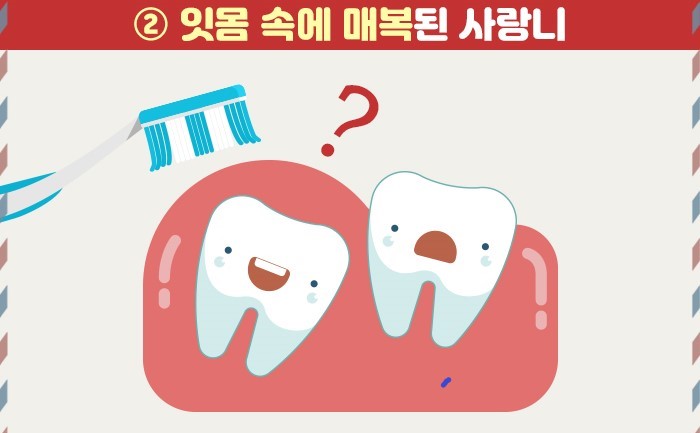 서울닥터윤치과 이미지