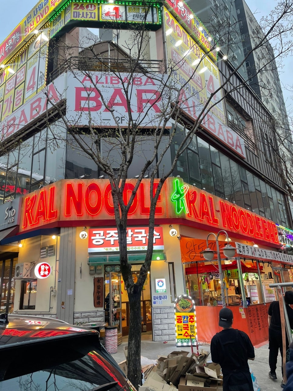 칼누들바 이미지