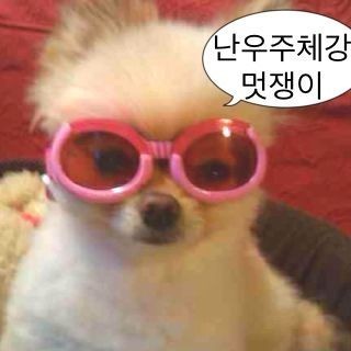 에이치케이컴 이미지