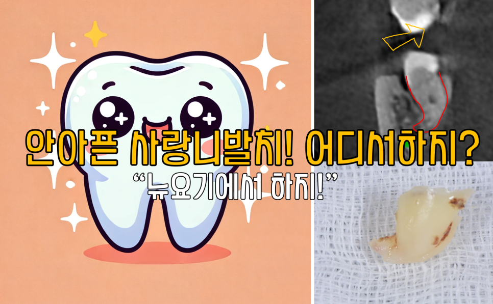 뉴욕굿모닝치과의원 이미지