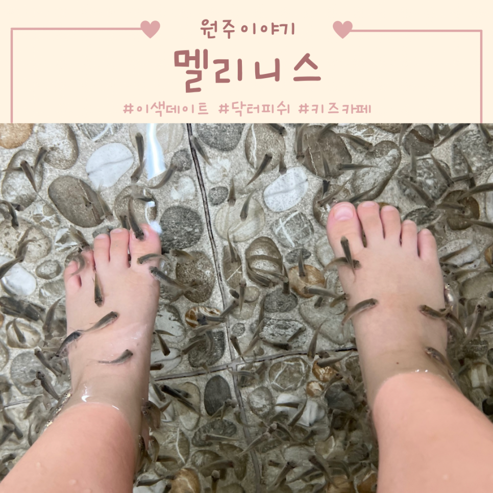피시원주 이미지