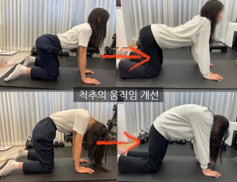 바디랩그룹트레이닝&PT 이미지