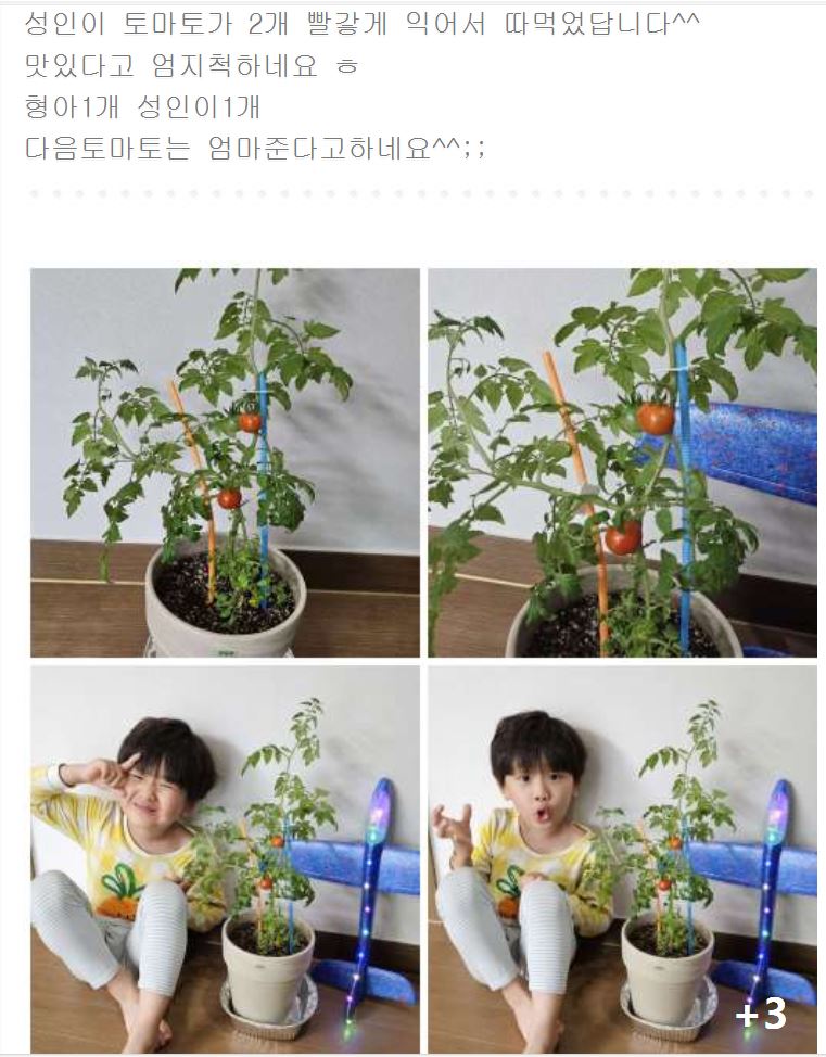 해돋이유치원 이미지