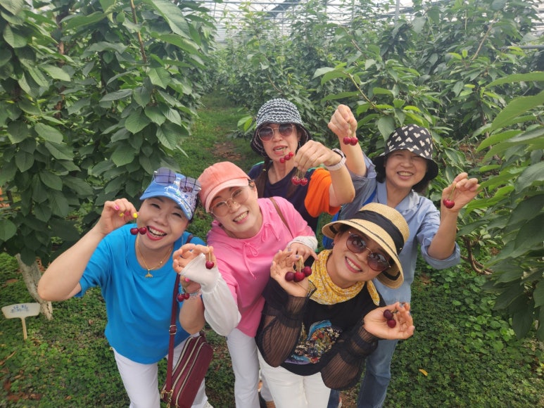 쑤기빌레 이미지