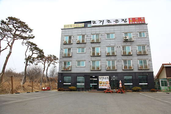코기조은집 이미지