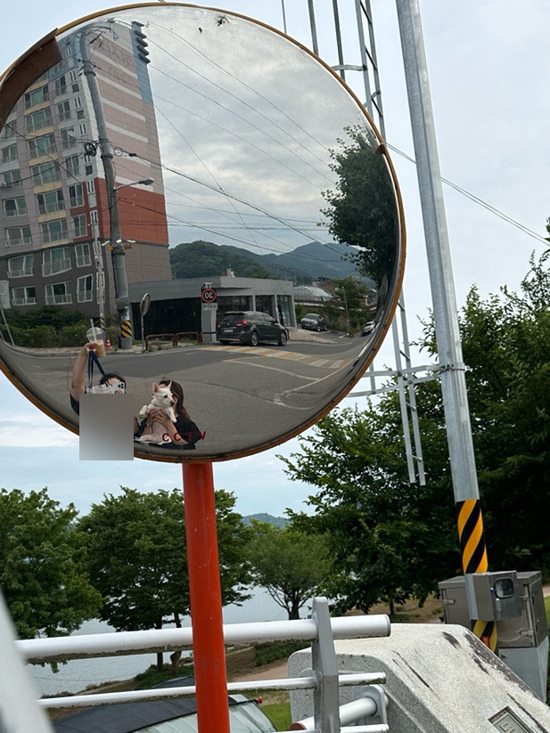 노동가든 이미지
