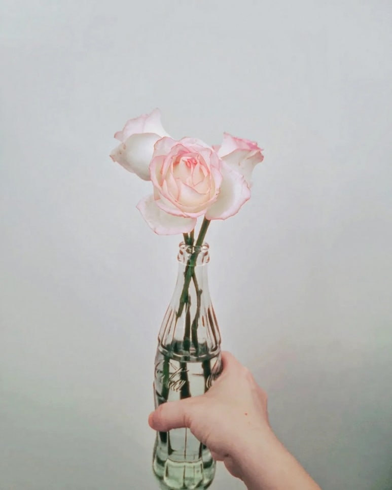 유월의아침 이미지