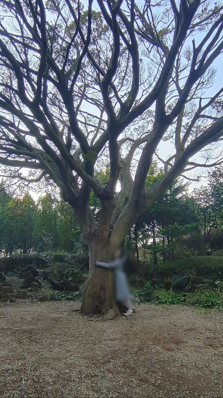 제주항공우주호텔오름 이미지