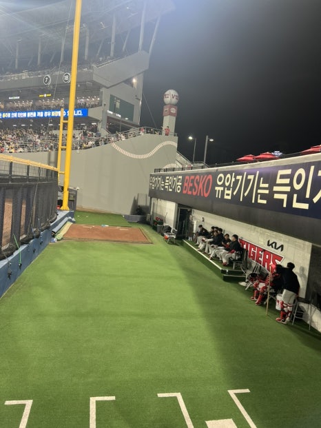 메이준 이미지