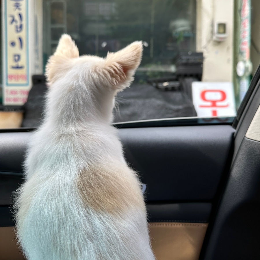 코코옷수선 이미지