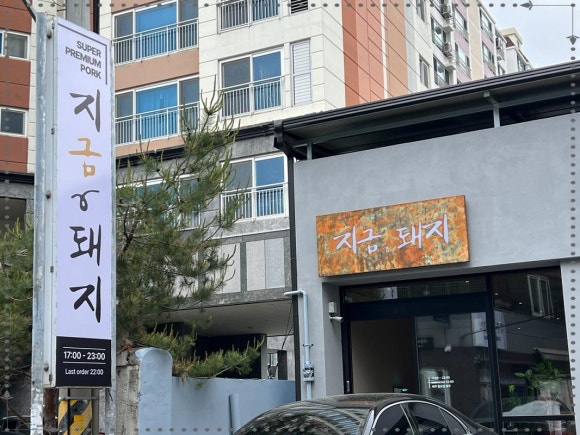 바로돼지 이미지