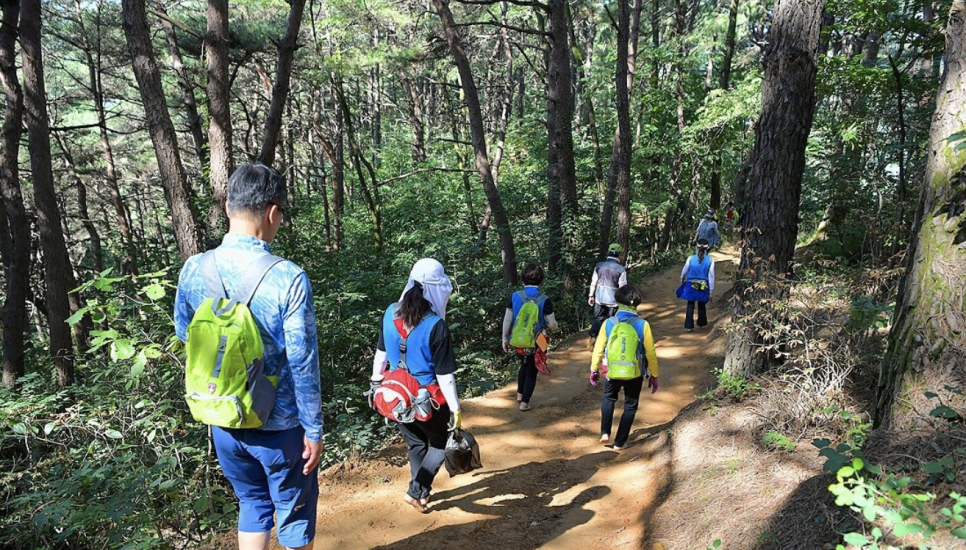 동화자연식물원 이미지