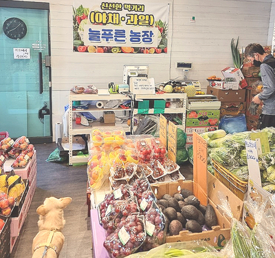 푸른야채과일 이미지