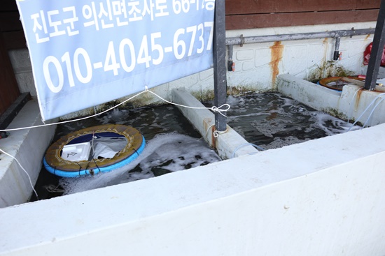 낙지박사 이미지