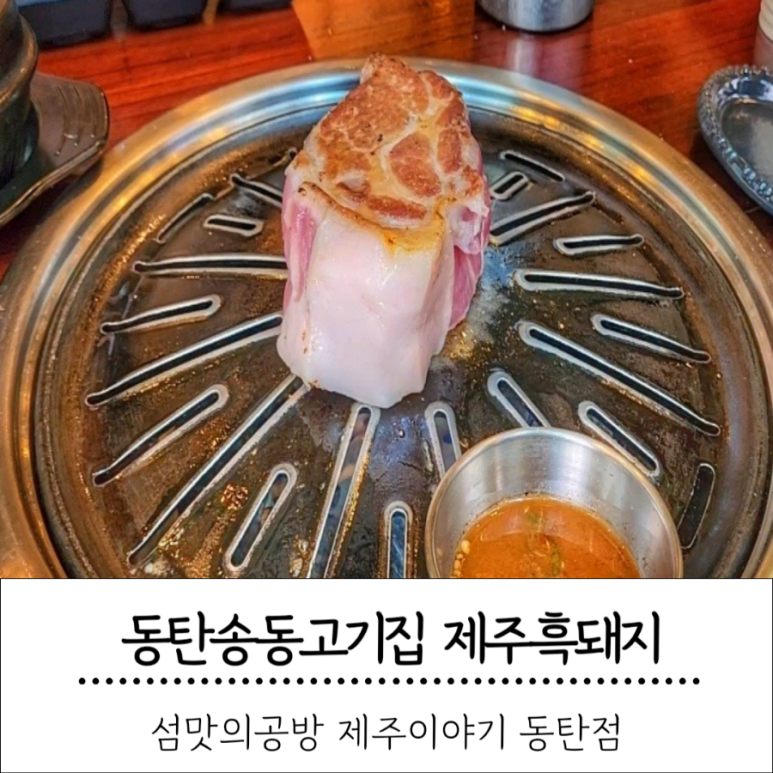 송맛이야기 이미지
