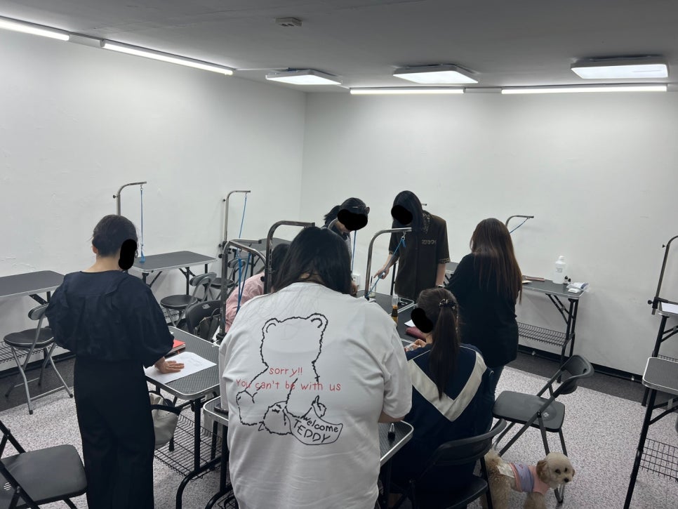 부천 강아지 셀프 미용 & 아로마 테라피 특강 후기 — 사진 2