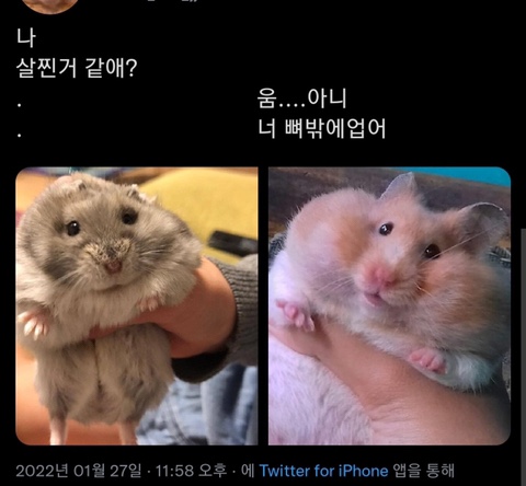 샌두 태안점 이미지