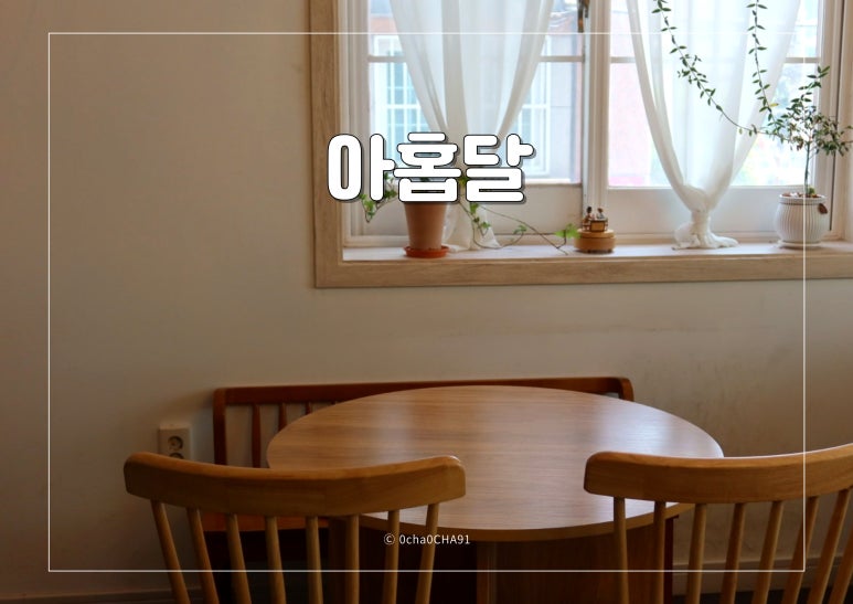아홉달 이미지