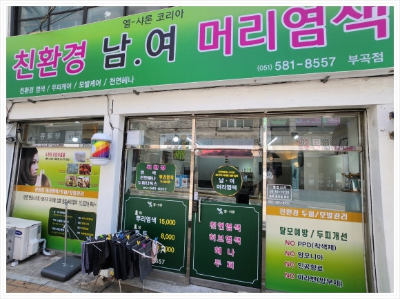 엘샤론코리아 이미지