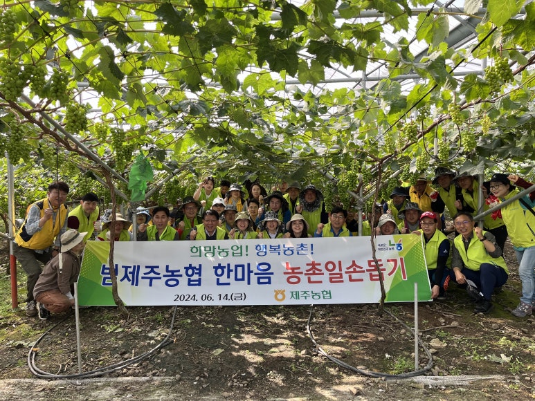 한마음인력 이미지