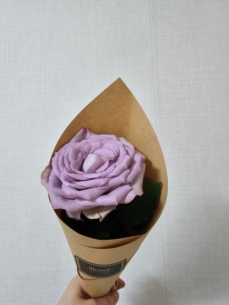 육식러 이미지