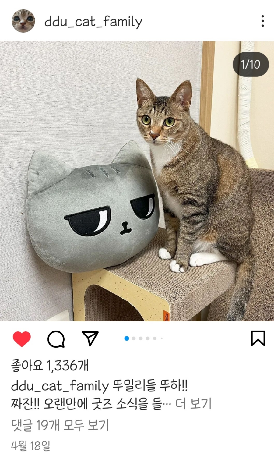 아이뚜리 이미지