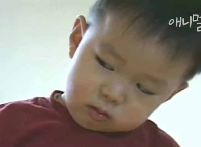 고주망탱이 이미지