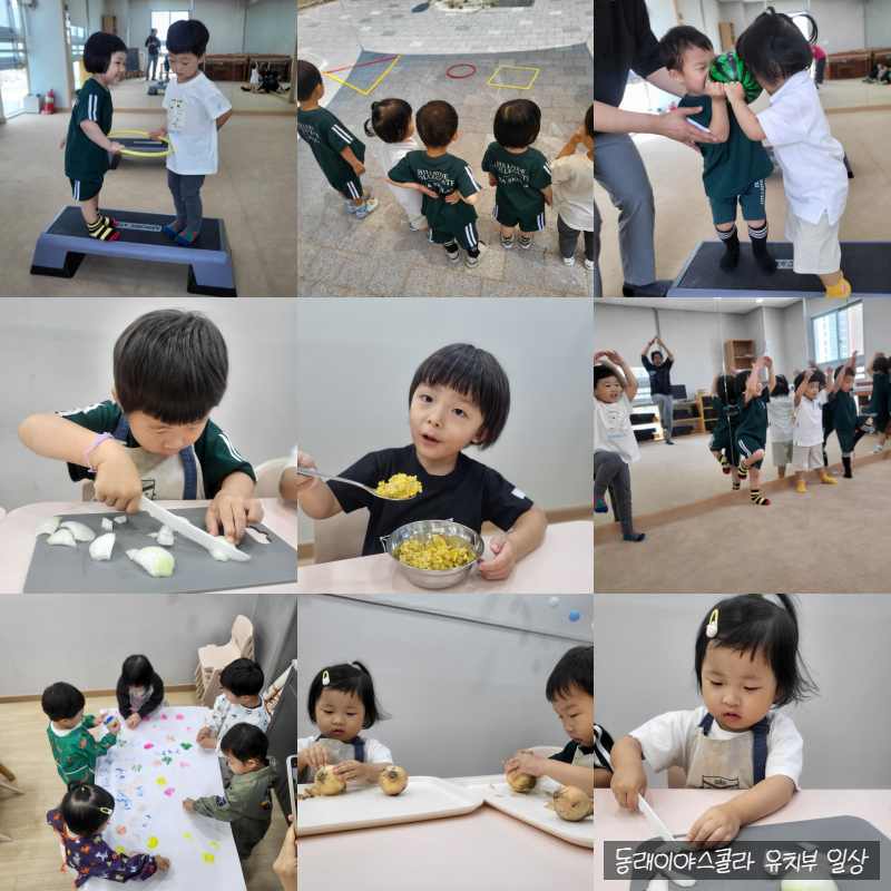 동래이야스콜라 이미지