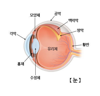 서울닥터윤치과 이미지