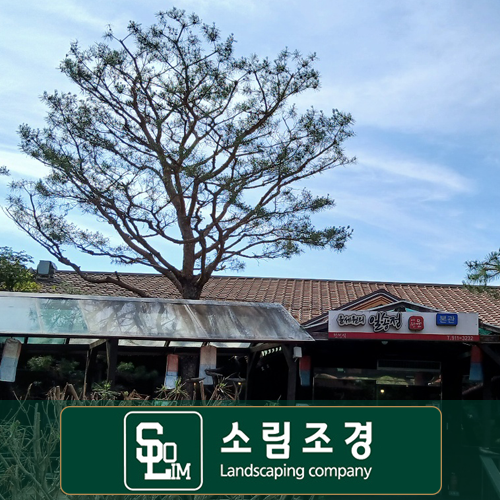 푸른솔조경 이미지