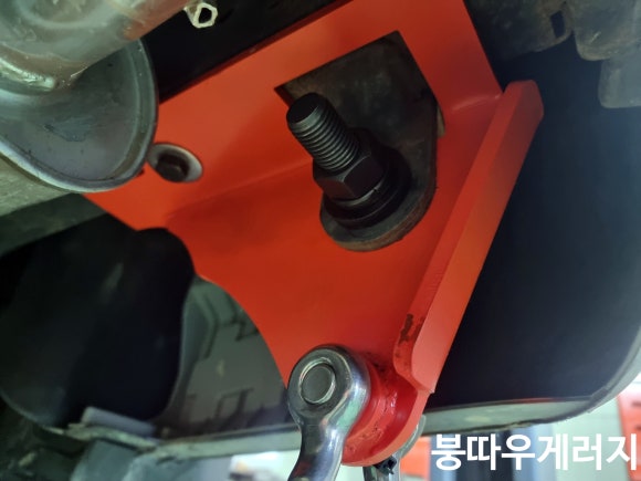 붕따우게러지 이미지