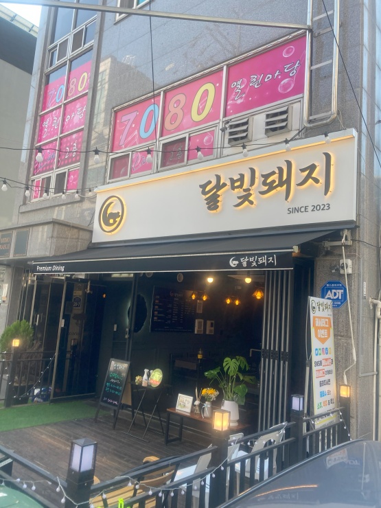 달빛돼지 이미지